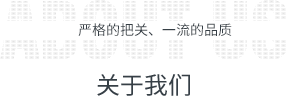 企业概况图标